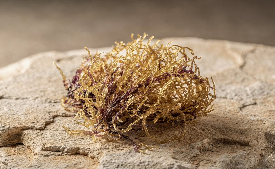 Raw Dried Sea Moss 4oz